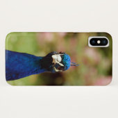 Pauw Case-Mate iPhone Case (Achterkant (horizontaal))