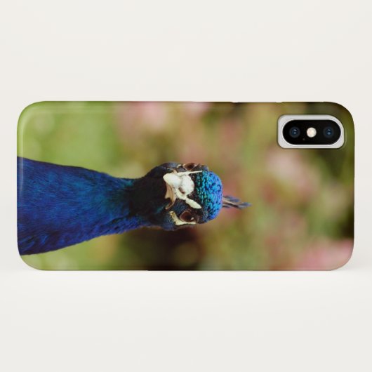Pauw Case-Mate iPhone Case (Achterkant (horizontaal))