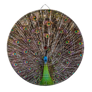 Pauw Dartbord