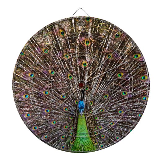 Pauw Dartbord (Voorkant)