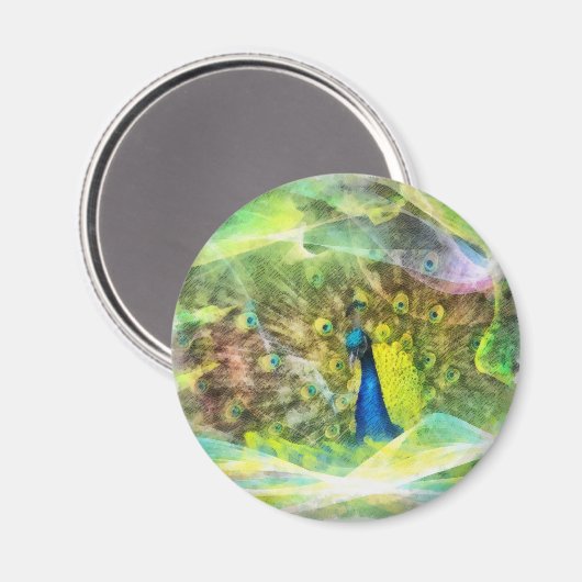 Pauw digitale schildering magneet (Voorkant / Achterkant)