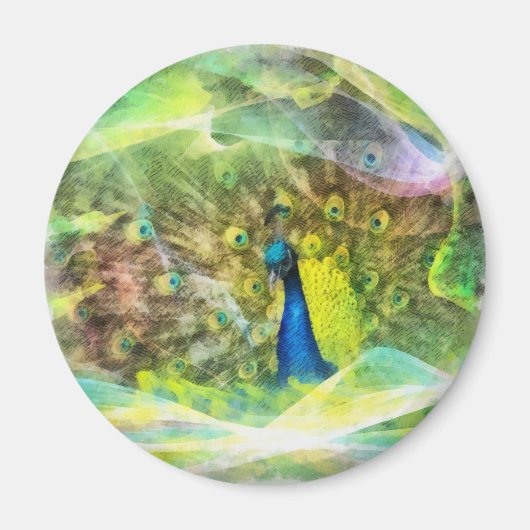 Pauw digitale schildering magneet (Voorkant)