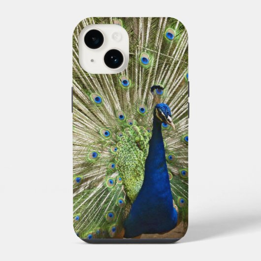 Pauw Display iPhone Hoesje (Achterkant)