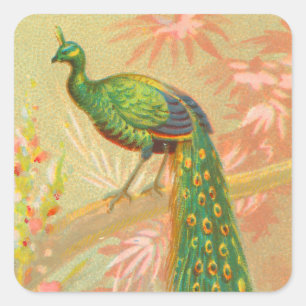 Pauw en bloemenschilderij Vierkante Sticker