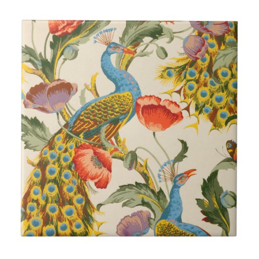  Pauw en Poppies illustraties Tegeltje (Voorkant)