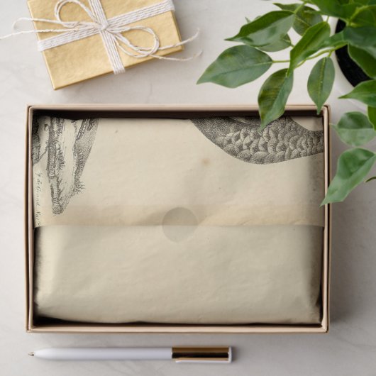 Pauw Ephemera Decoupage Tissuepapier (Geschenk)