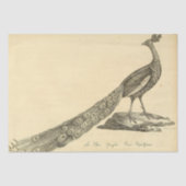 Pauw Ephemera Decoupage Tissuepapier (Voorkant)