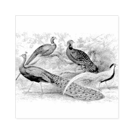 Pauw Fazant Gemengd Scrapbooking    Rubberstempel (Afrduk)