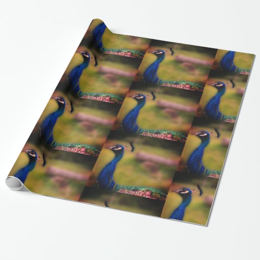 Pauw Foto Mat Inpakpapier (Uitgerold)