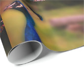 Pauw Foto Mat Inpakpapier (Rol Hoek)