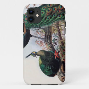 Pauw,groene pauw pavo muticus 1872 ... iPhone 11 hoesje