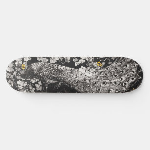  Pauw Illustratie door Theo van Hoytema Persoonlijk Skateboard
