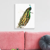 Pauw Illustratie Vintage Kunstprint Canvas Afdruk (Insitu (Woonkamer))