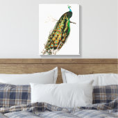 Pauw Illustratie Vintage Kunstprint Canvas Afdruk (Insitu (Slaapkamer))