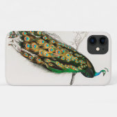 Pauw Illustratie Vintage Kunstprint Case-Mate iPhone Case (Achterkant (horizontaal))