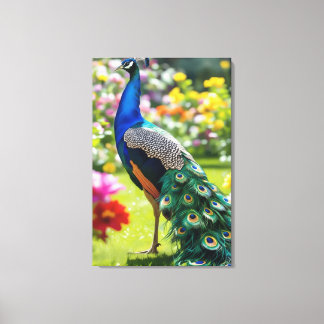 Pauw in Bloei Canvas Afdruk