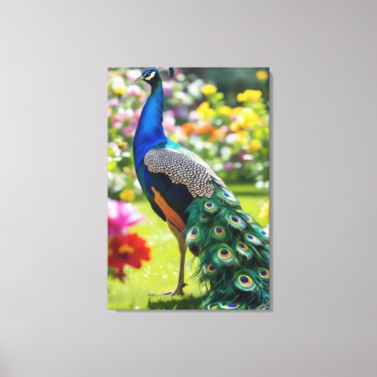Pauw in Bloei Canvas Afdruk (Voorkant)