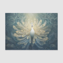 Pauw in bloei, witte veren, elegant