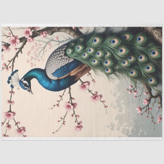 Pauw in een Cherry Blossom Tree Decoupage Tissuepapier (Voorkant)