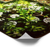 pauw in lijst poster VANAF 14.95 (Hoek)