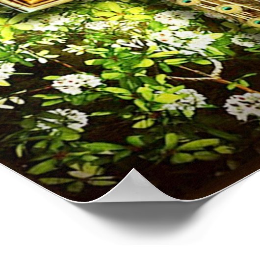 pauw in lijst poster VANAF 14.95 (Hoek)