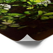 pauw in lijst poster VANAF 14.95 (Hoek)