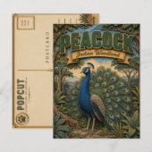 Pauw Indische Bos POPCUT Briefkaart (Voorkant / Achterkant)