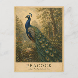 Pauw Indische bossen VINTAGE Briefkaart