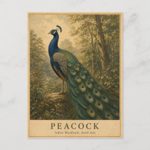 Pauw Indische bossen VINTAGE Briefkaart