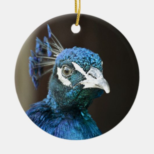 pauw keramisch ornament (Voorkant)