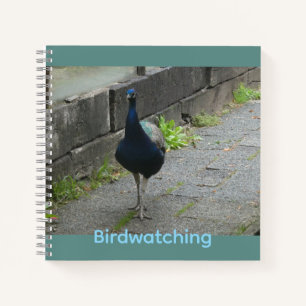 Pauw Klant. Tekst Vogelkijk Notitieboek