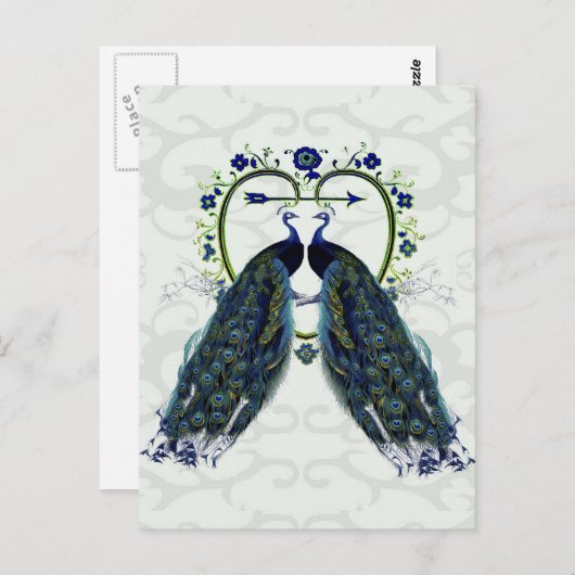 Pauw liefde hart, pauw briefkaart (Voorkant / Achterkant)