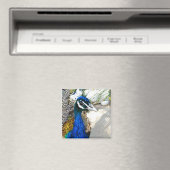 Pauw Magneet (Insitu (Vaatwasser))