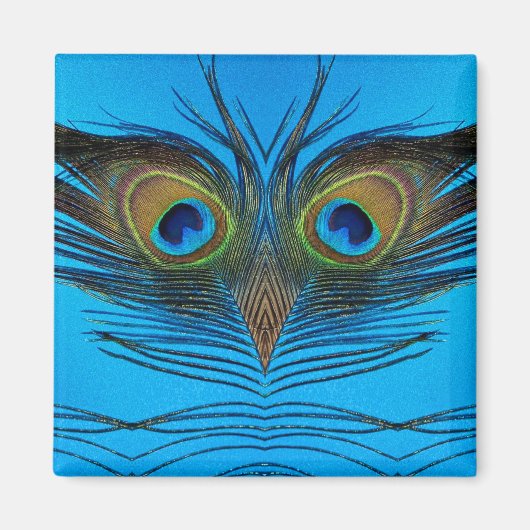 pauw magneet (Voorkant)