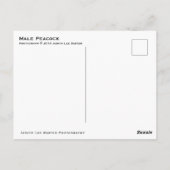 Pauw met veren Fanned - Bird Wildlife Foto Briefkaart (Achterkant)