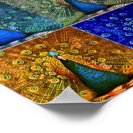 pauw pop kunst poster (Hoek)