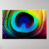 pauw poster (Voorkant)