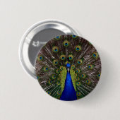 pauw ronde button 5,7 cm (Voorkant /achterkant)