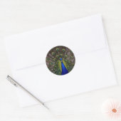 pauw ronde sticker (Envelop)