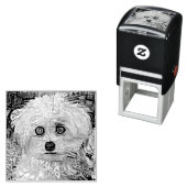 Pauw-sitive Vibes Zelfinktende Stempel (In situ)