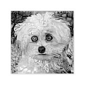 Pauw-sitive Vibes Zelfinktende Stempel (Design)