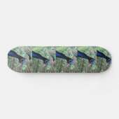 PAUW SKATEBOARD (Horizontaal)
