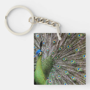 Pauw Sleutelhanger
