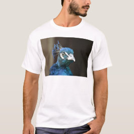 pauw t-shirt