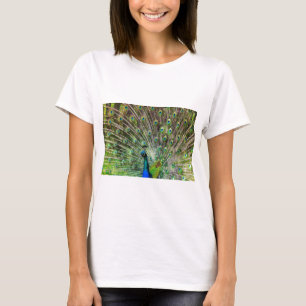 Pauw T-shirt