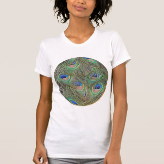 pauw t-shirt