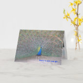 Pauw - Vaarwel Kaart (Gele Bloem)