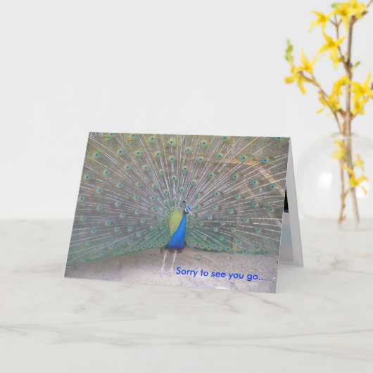 Pauw - Vaarwel Kaart (Gele Bloem)