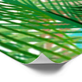 pauw-veren patroon poster (Hoek)