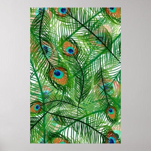 pauw-veren patroon poster (Voorkant)